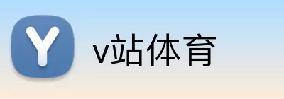 v站体育 Logo
